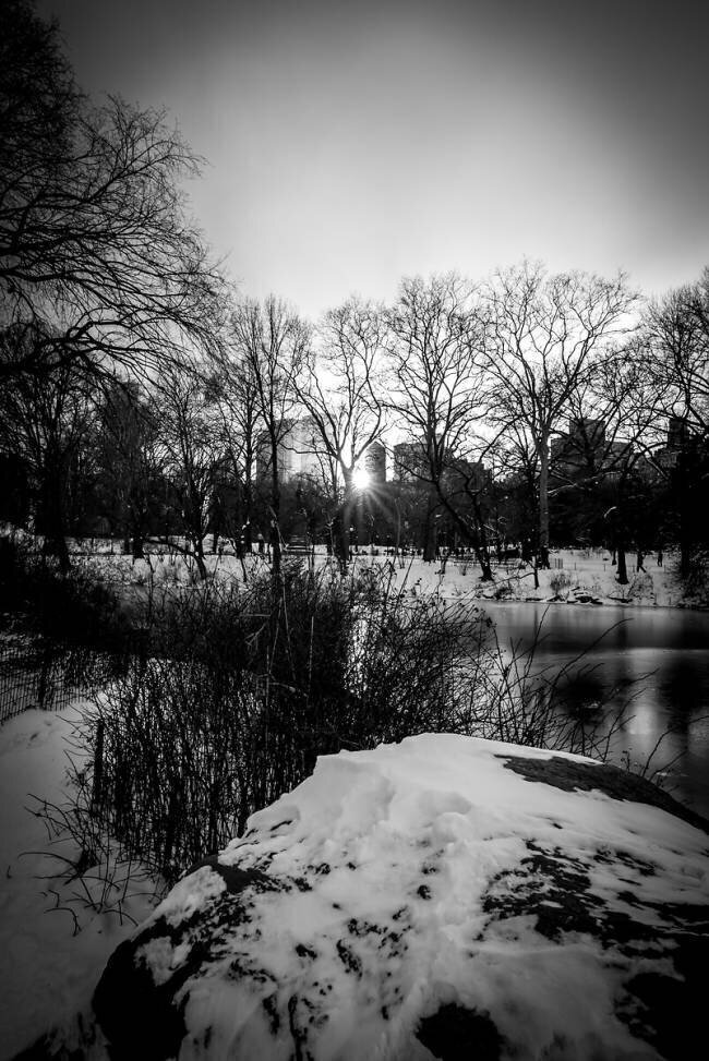 Central Park Lac d'hiver Guilherme Pontes