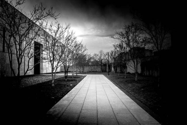 Fondation Barnes Nº1 Guilherme Pontes