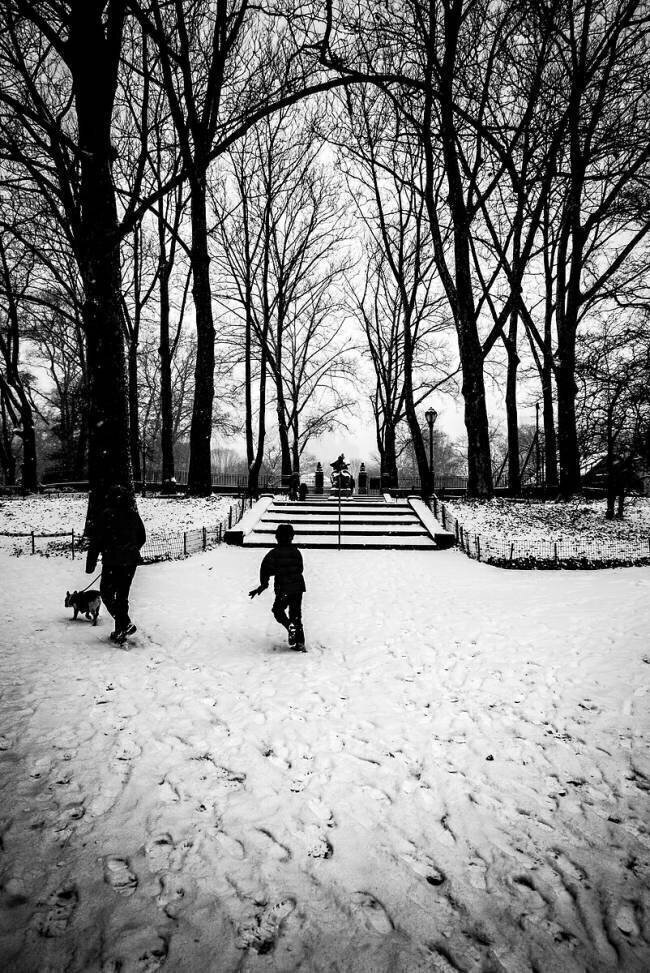 Les marches de Central Park Guilherme Pontes