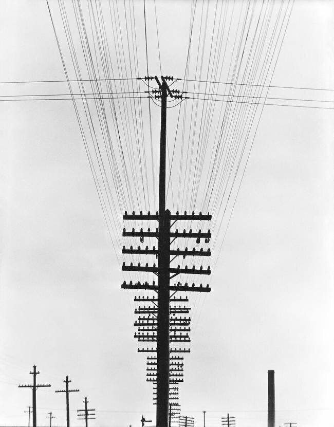 Telegraph Wires Tina Modotti
