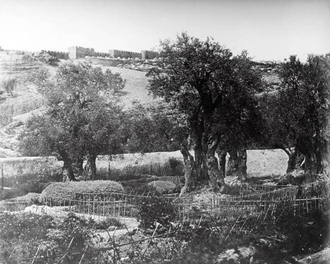 Gethsemane Felice Beato