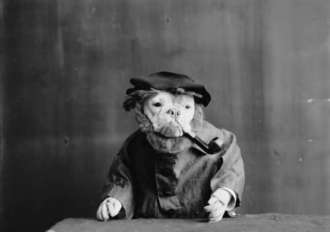 An Old sea dog anonymous