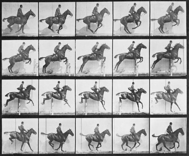 Animal Locomotion : Man and horse jumping a fence Eadweard Muybridge