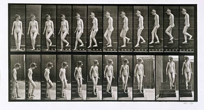 Animal Locomotion : Woman descending the steps Eadweard Muybridge