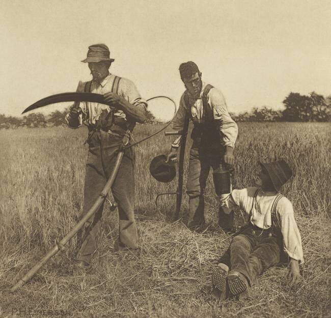In the Barley-Harvest Peter Henry Emerson