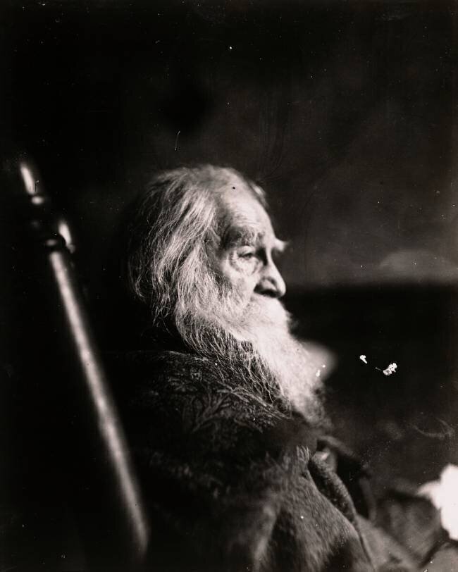 Portrait of Walt Whitman Thomas Eakins