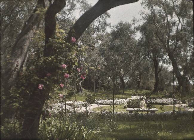 Beaulieu, villa Salles, roseraie anonymous