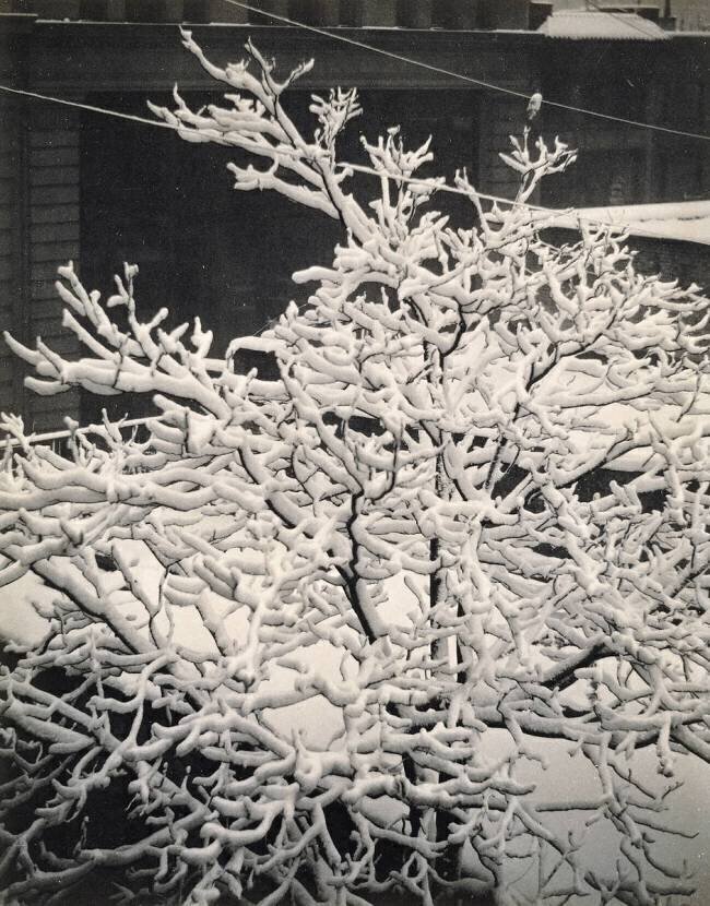 Out of Window - 291 - N.Y Alfred Stieglitz