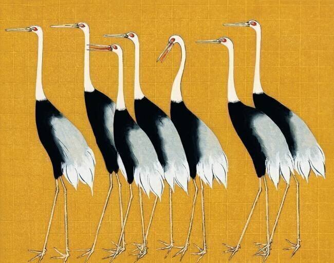 A traditional portrait of a flock of beautiful Japanese red crown crane Ogata Korin