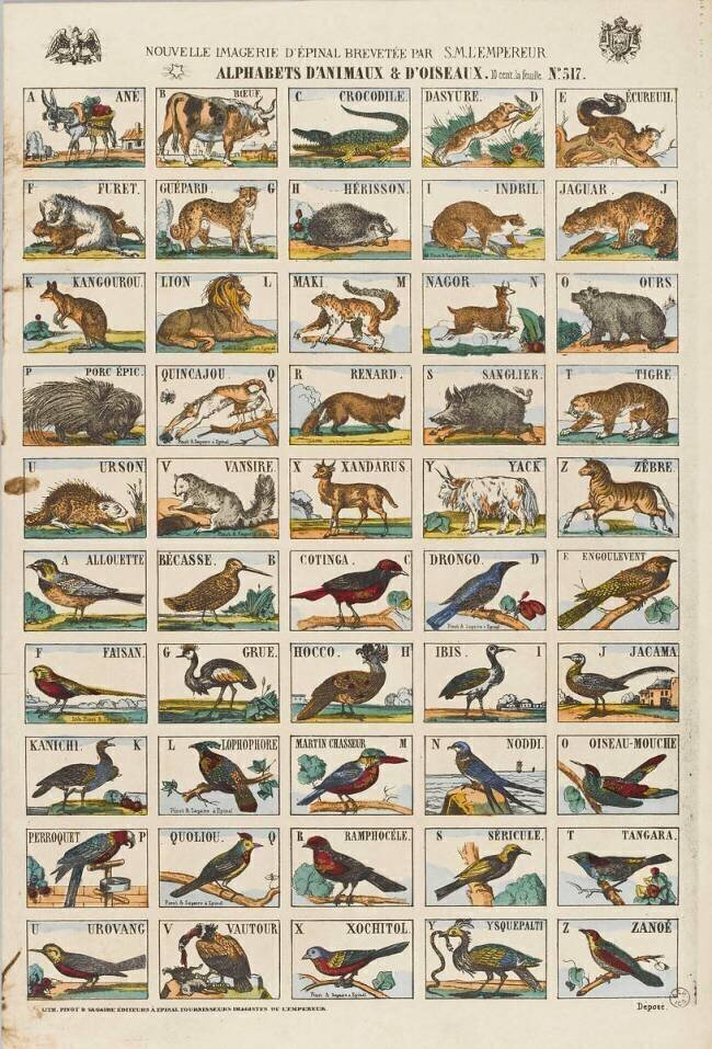Alphabets d'animaux et d'oiseaux anonymous