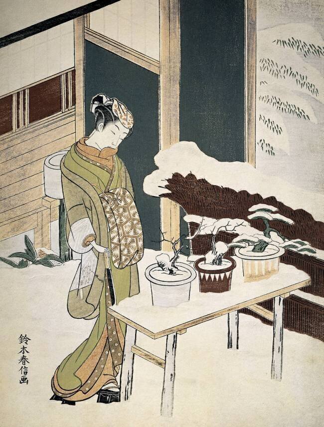 Art japonais : une jeune femme en kimono d'hiver admire ses bonsais (bonzais) sur la terrasse enneigee anonymous