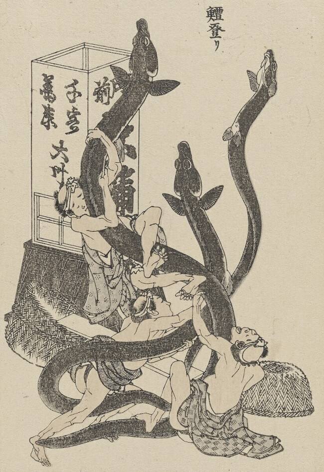 Big Eels Hokusai