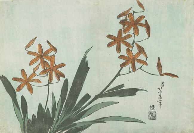 Blackberry Lilies Hokusai