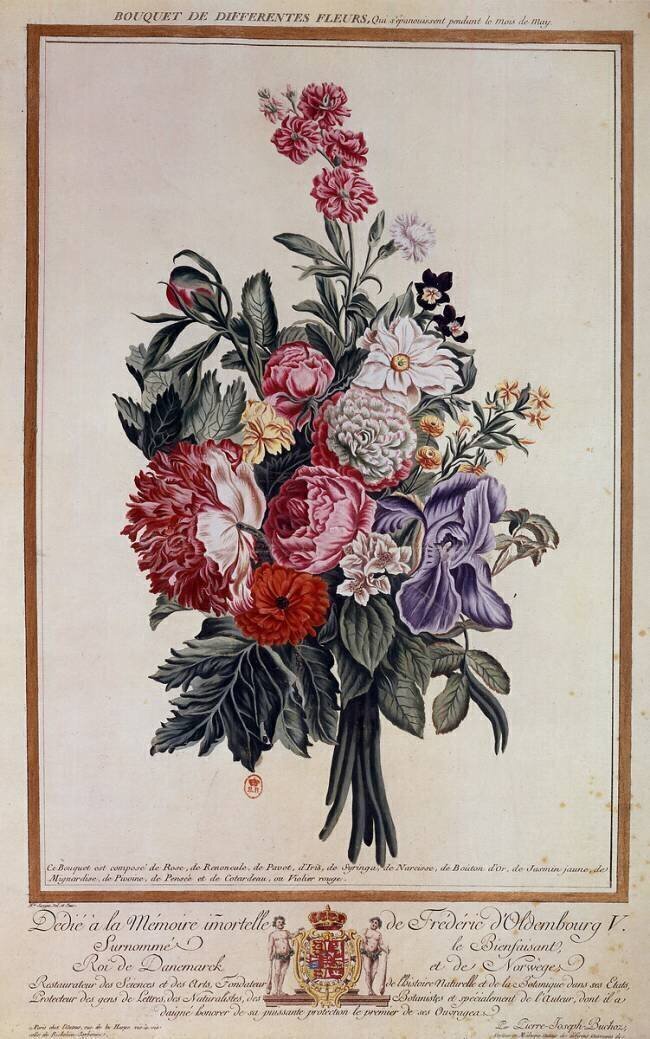 Bouquet of flowers melange Pierre-Joseph Buchoz