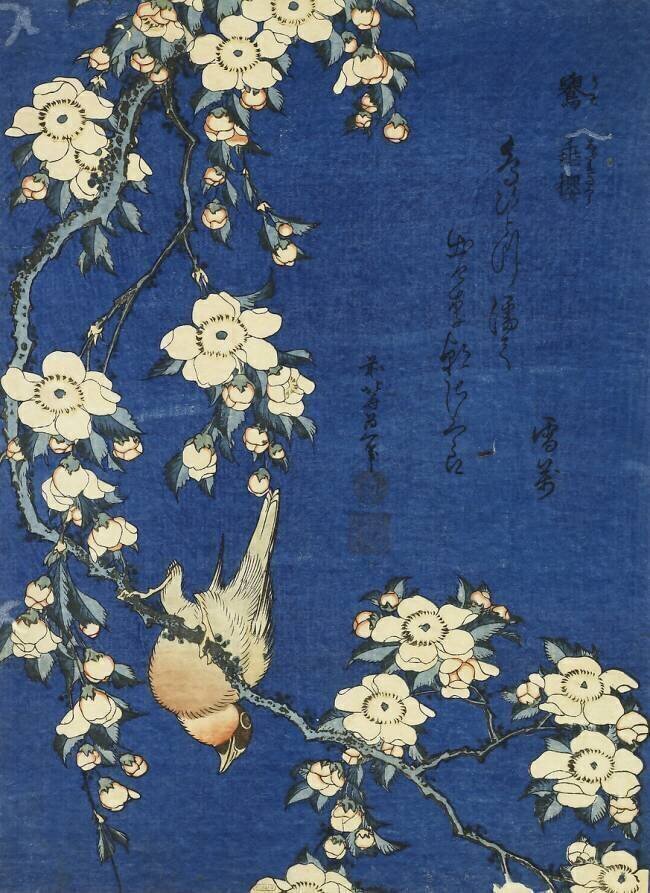 Bullfinch on a branch of a weeping cherry Hokusai