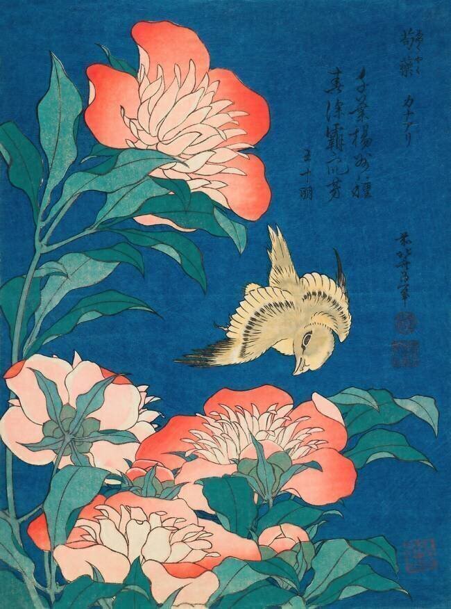 Canary and peonies Hokusai