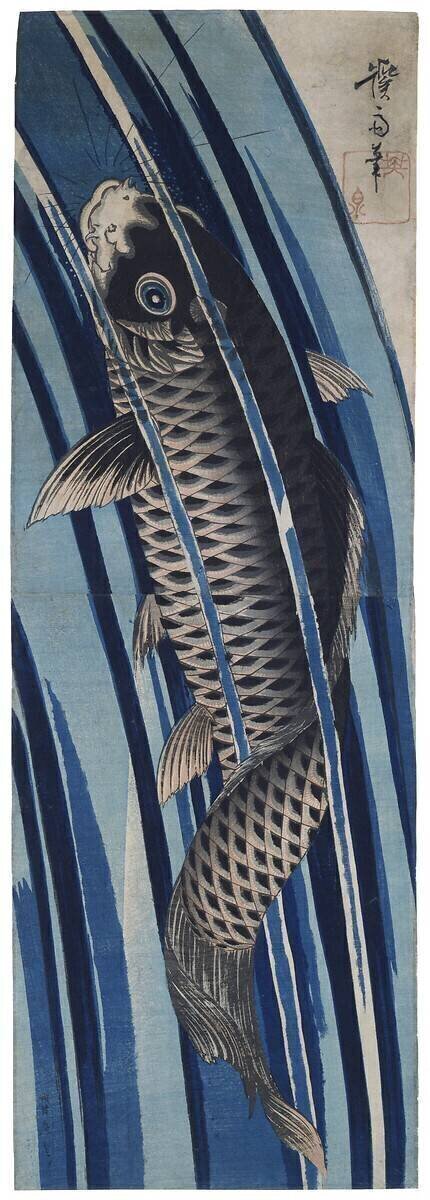 Carp Keisai Eisen