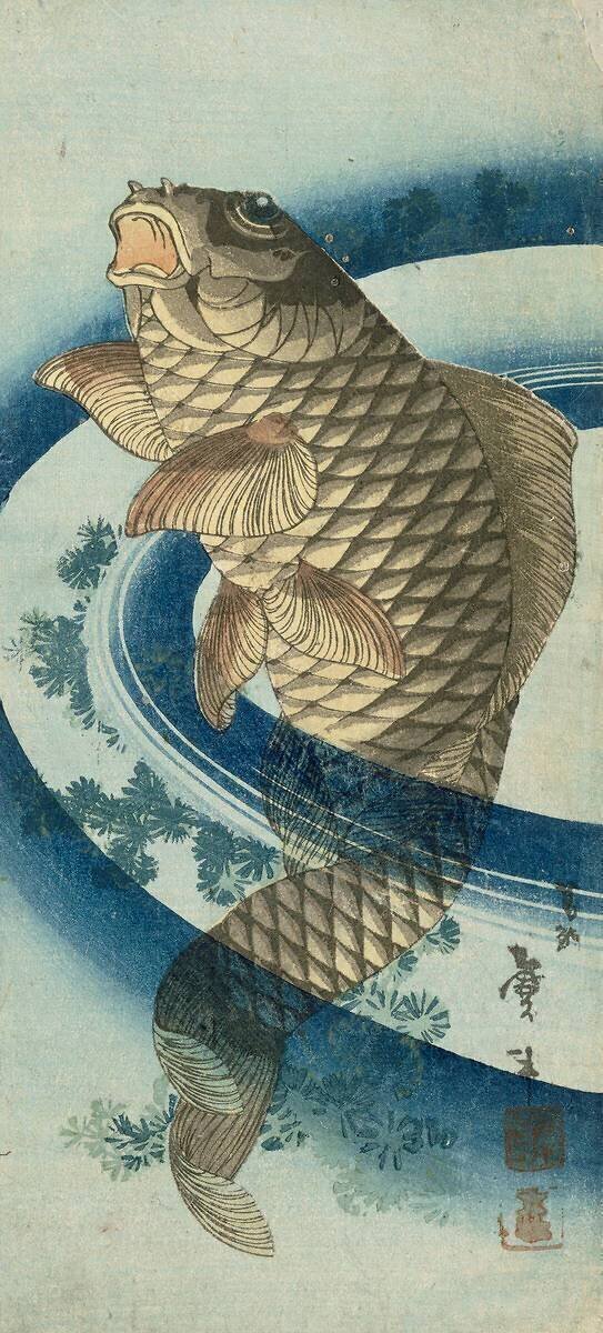 Carpe Katsushika Taito II