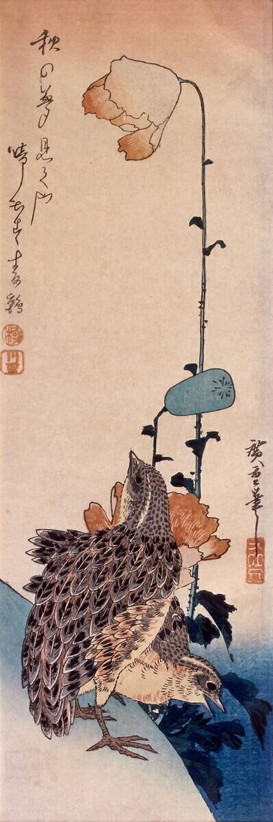 Couple of quails and poppies Hiroshige