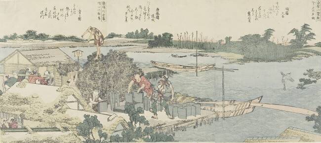 Crane and Pine Field at Shirahige Hokusai