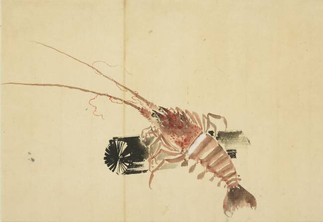 Ebi Hokusai