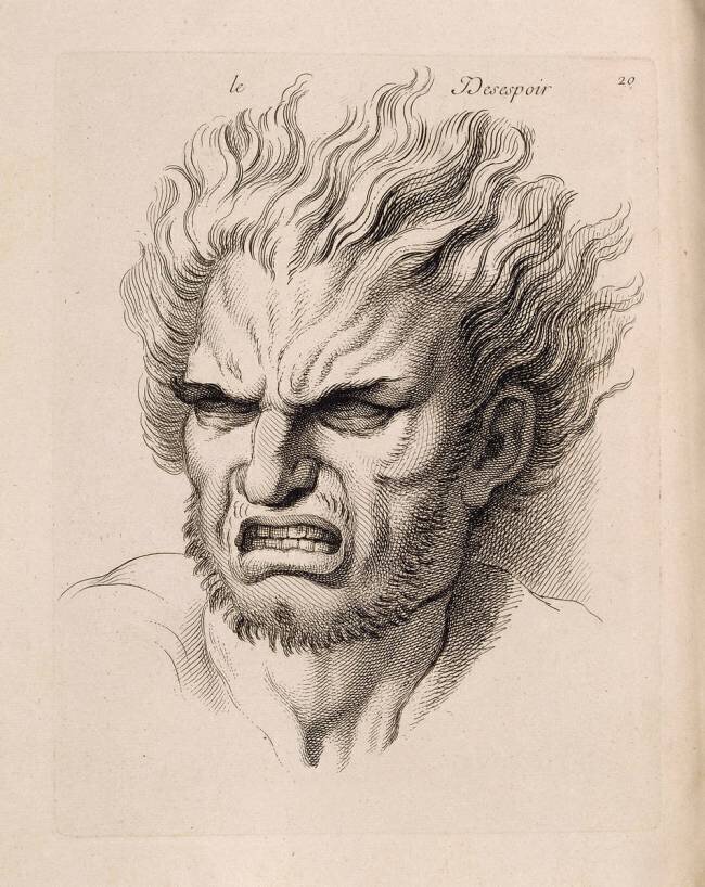 Expression des Passions de l'âme : le Désespoir Jean Audran