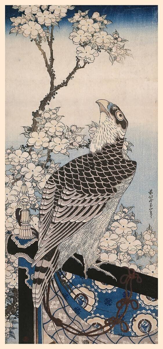 Falcon and plum blossoms Hokusai