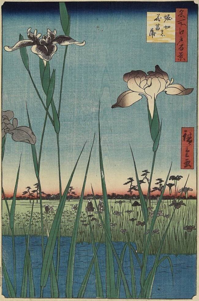 Iris Garden at Horikiri, Mai 1857 Hiroshige