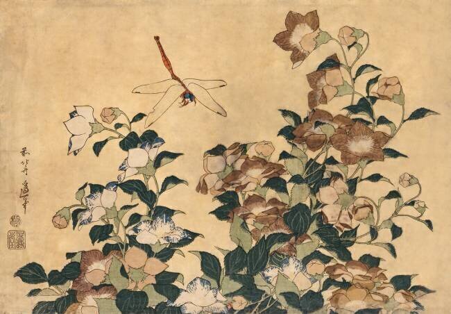 Kikyo flower and dragonfly Hokusai