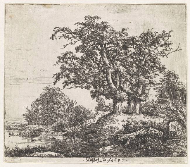Le bouquet aux trois chênes Jacob Isaakszoon van Ruisdael
