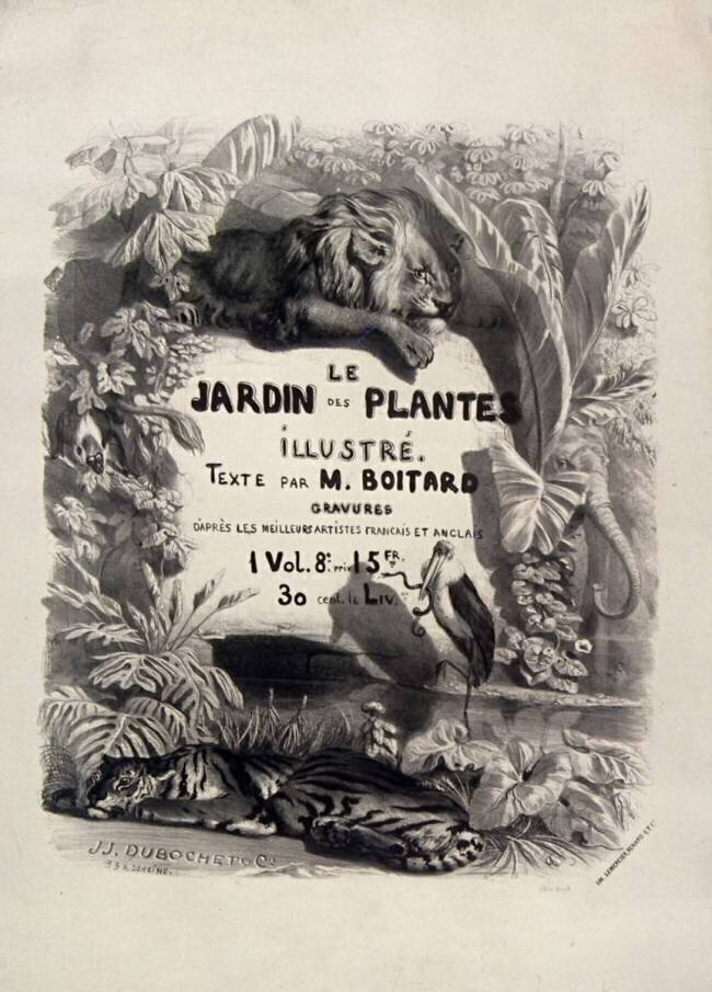 Le Jardin des Plantes illustré Jacques-Julien Dubochet