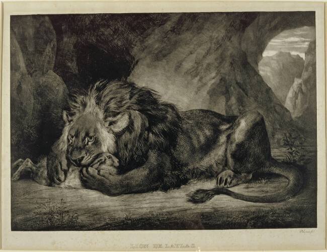 Lion de l'Atlas Eugène Delacroix