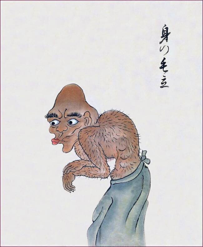 Mi-no-kedachi anonymous
