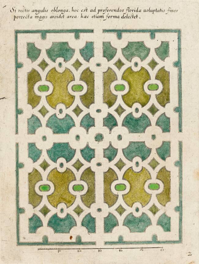 Modèle de parterre de jardin anonymous