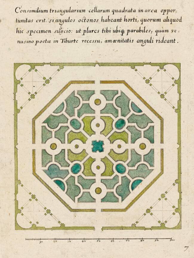 Modèle de parterre de jardin octogonal anonymous