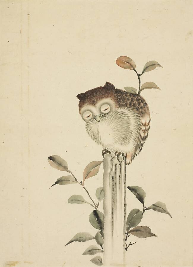 Owl Asleep on a Stump Hokusai