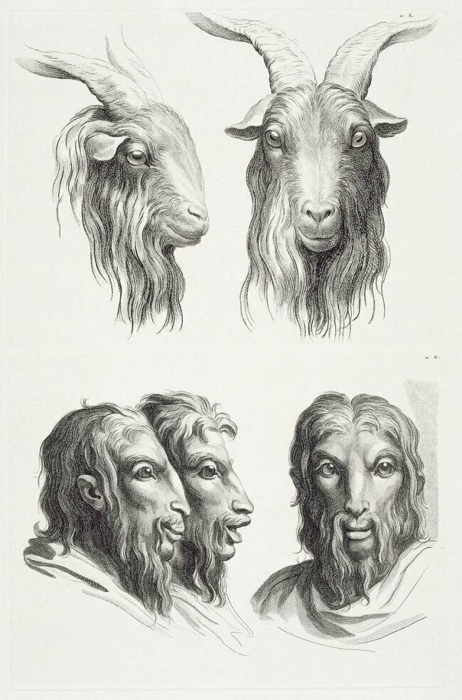 Planches 21 a et 21 b : deux têtes de bouc et trois têtes d'hommes en relation avec le bouc Charles Le Brun