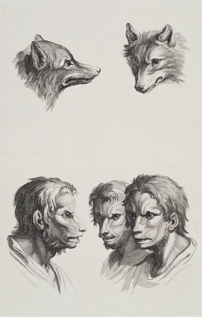 Planches 27 a et 27 b : deux têtes de loups et trois têtes d'hommes en relation avec le loups Charles Le Brun