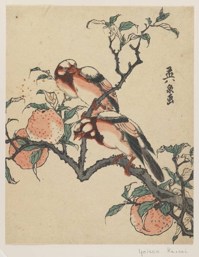 Pomegranates and birds Keisai Eisen