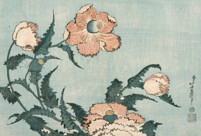 Poppies Hokusai