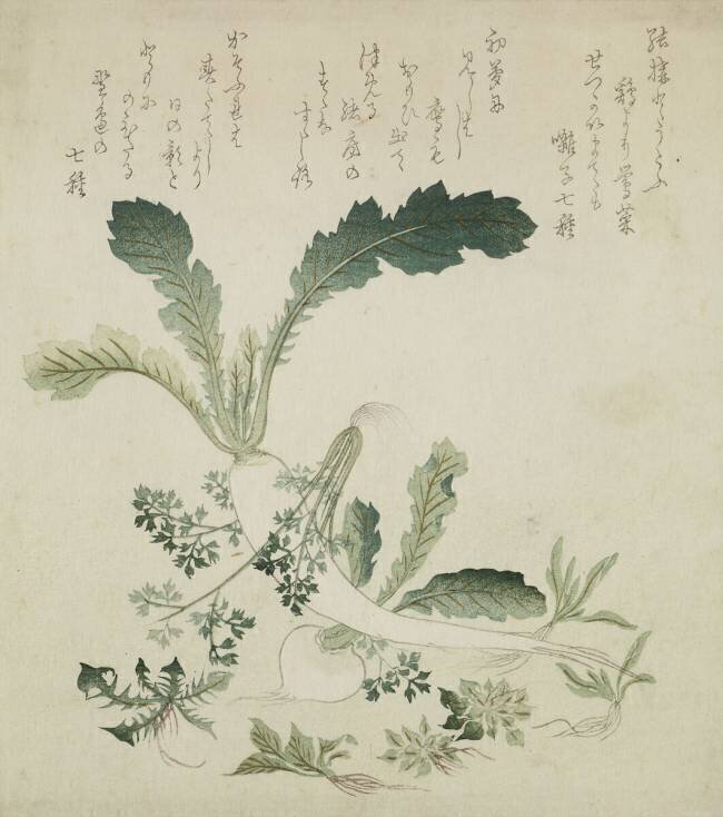 Turnip and radish Hokusai