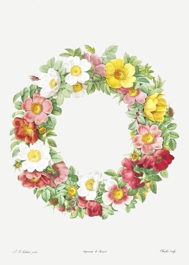 Wreath of Roses Pierre Joseph Redouté