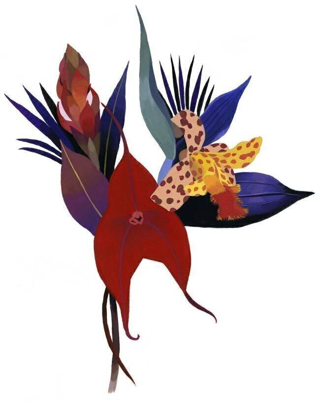 A flower reminiscent of a tropical country Hiroyuki Izutsu