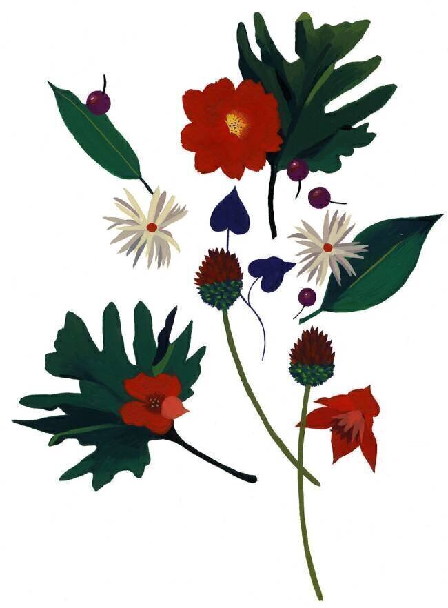 A flower that makes you imagine Christmas Hiroyuki Izutsu