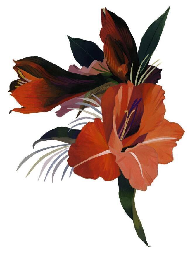 An imaginary flower based on an amaryllis Hiroyuki Izutsu