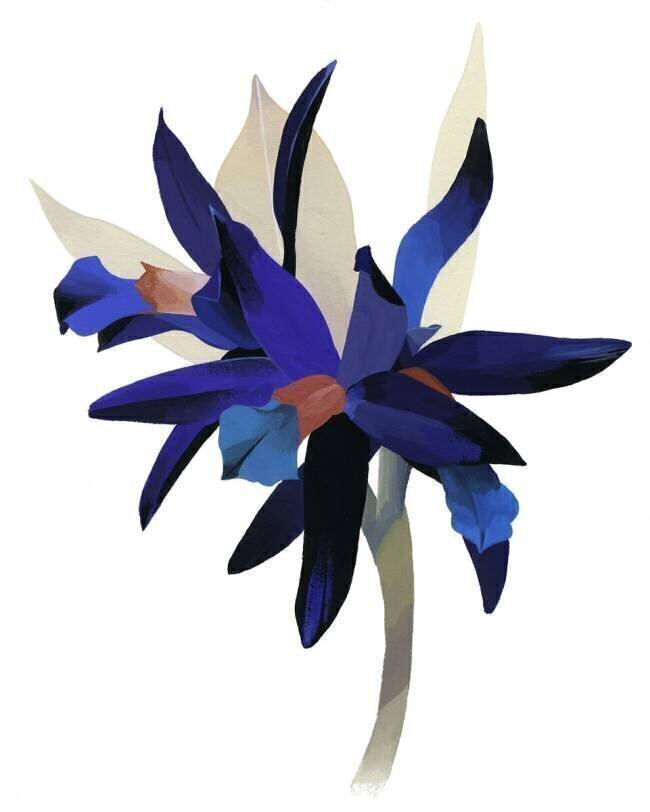 An imaginary flower with a blue base Hiroyuki Izutsu