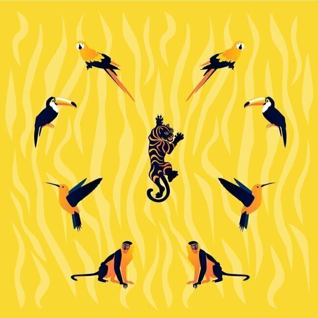 Animals-yellow-black Claire Huntley