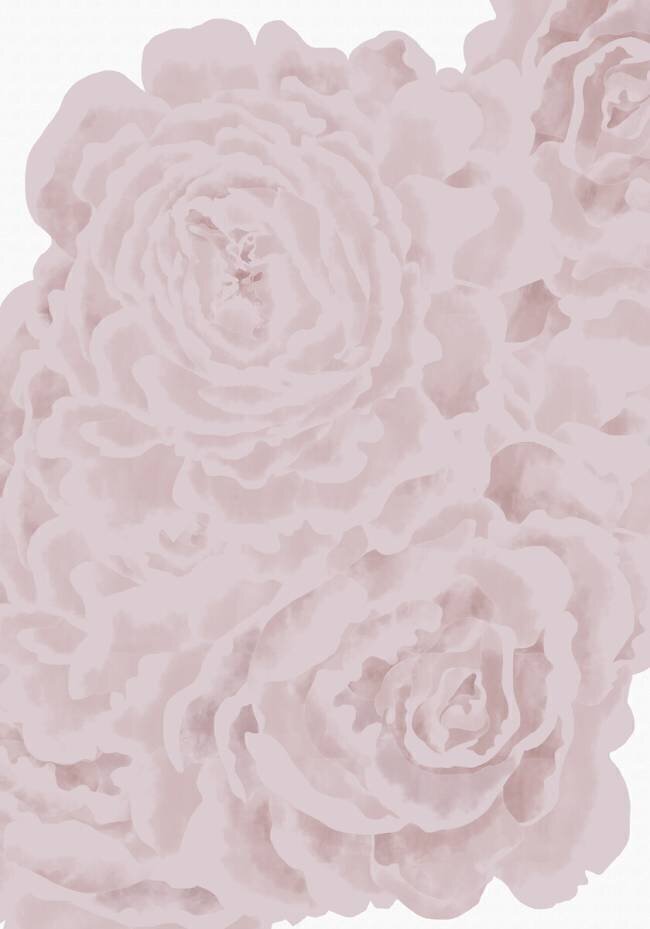 Bed of Roses 1x Studio II