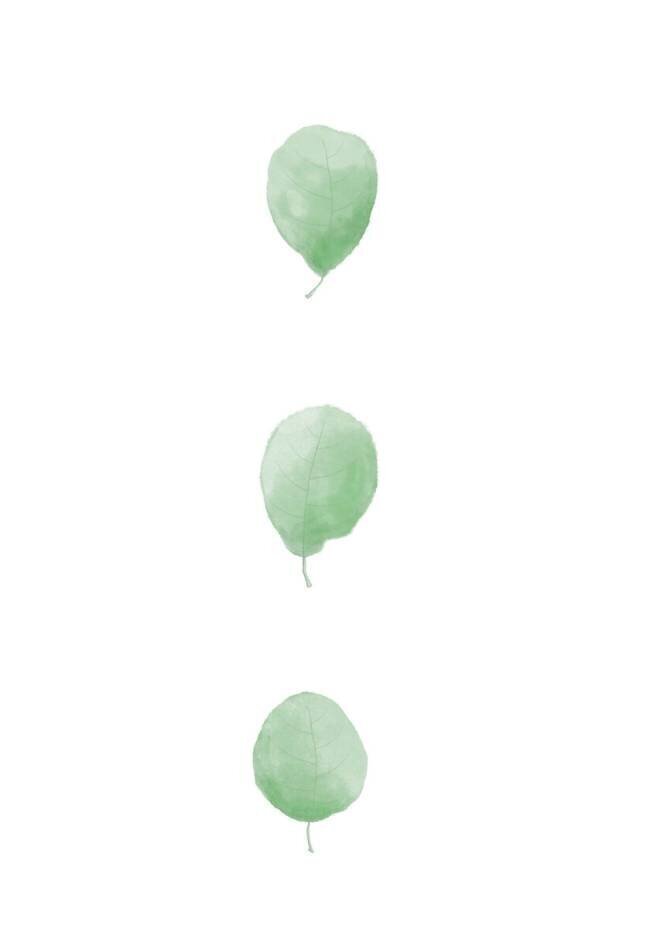 Birch Leaves in Row 1x Studio