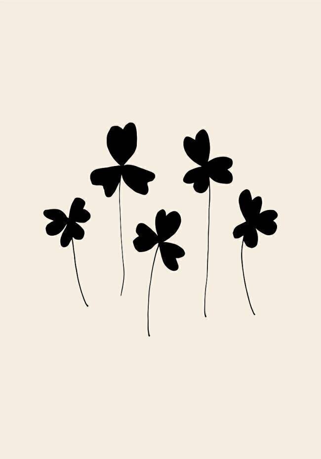 Black Sorrel 1x Studio